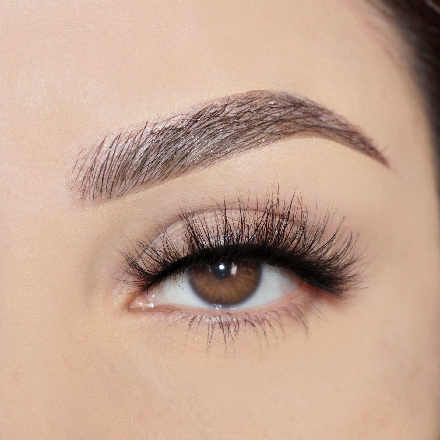 Lash style: Guanajuato