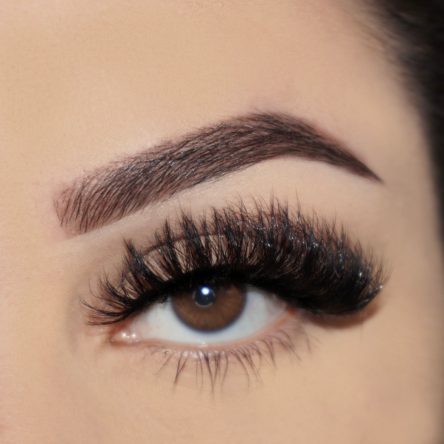Lash style: Coahuila