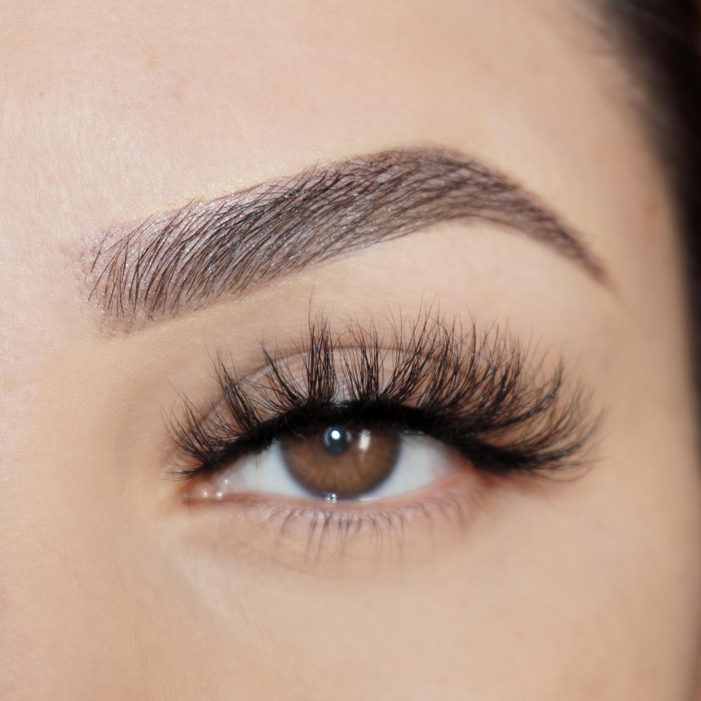 Lash style: Nuevo León