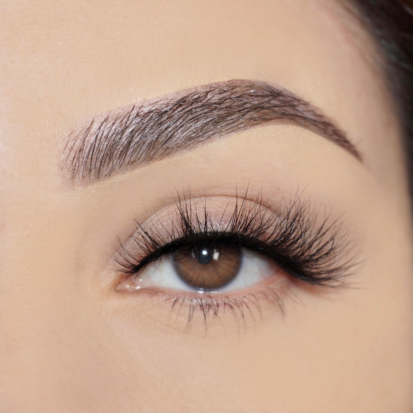 Lash Style: NOVA