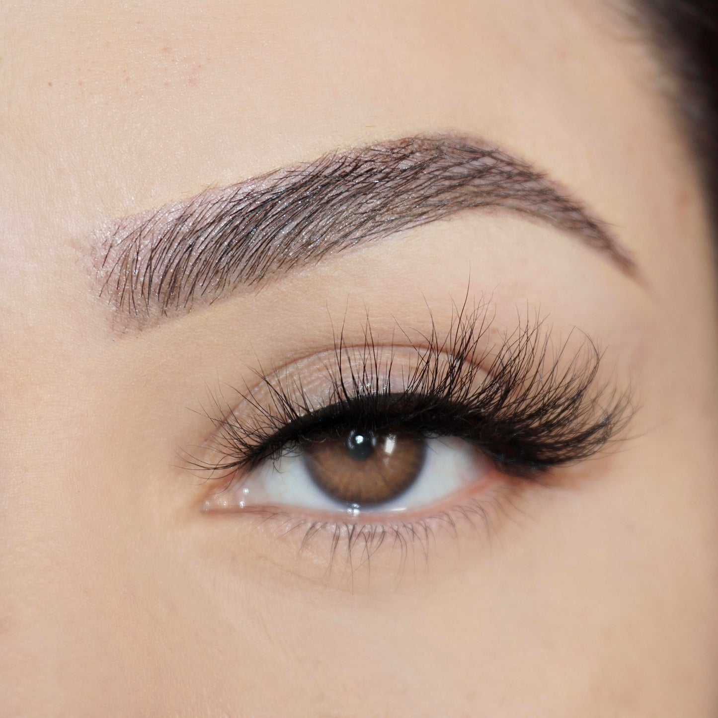 Lash Style: 143