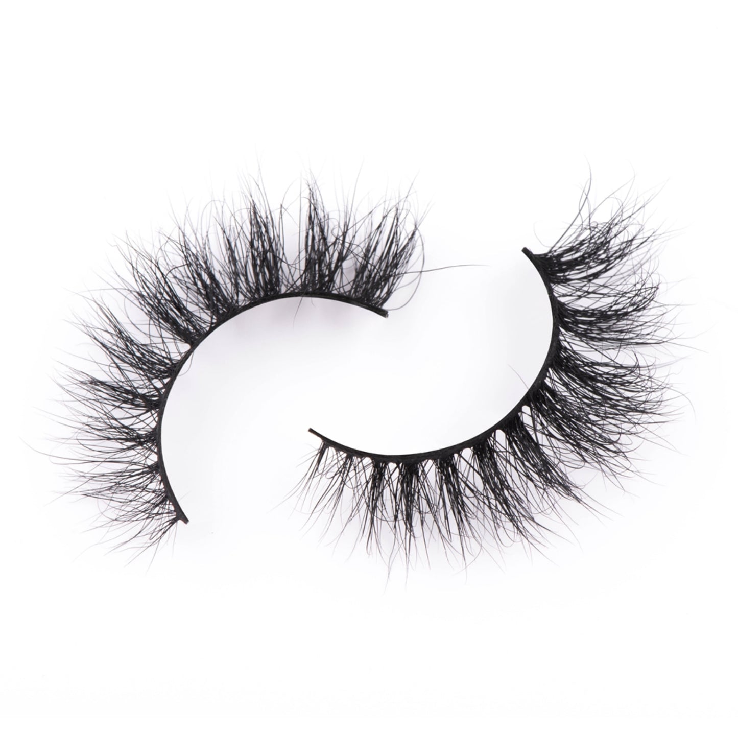 Lash Style: BOYTOY🧸